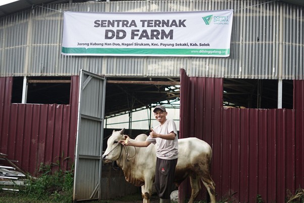 herdianto peternak lokal tebar hewan kurban8 dompet dhuafa