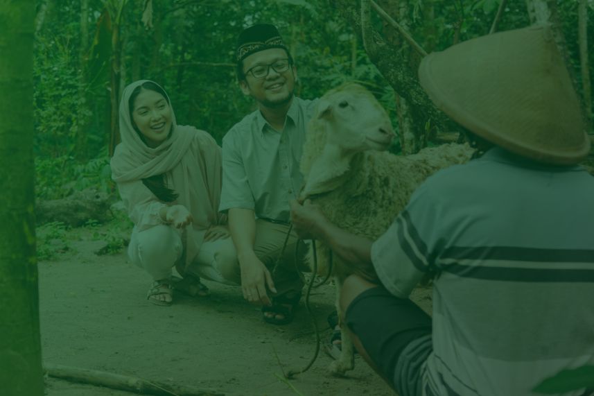 kurban apakah wajib dompet dhuafa