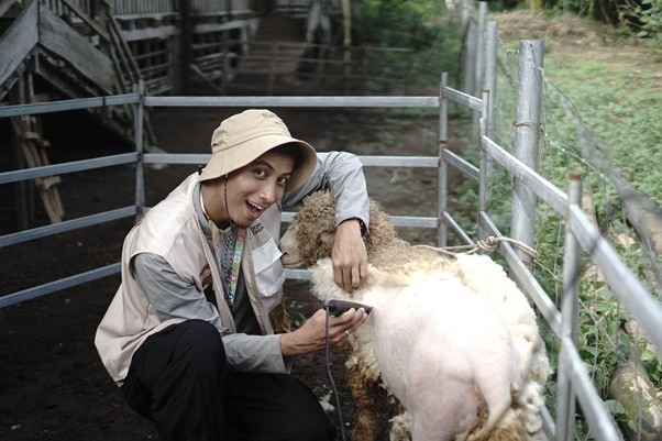 kurban heartventure voluntrip yogyakarta 20258 dompet dhuafa Selain menimbang, Ziyan juga turut diberi kesempatan untuk mencukur bulu domba secara langsung.