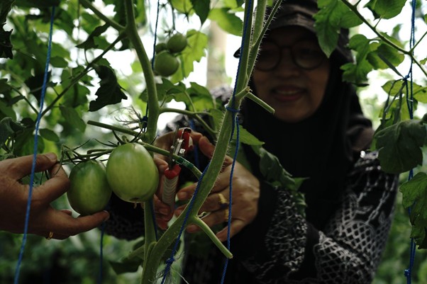 panenbunciskenyadisukabumi7 dompet dhuafa