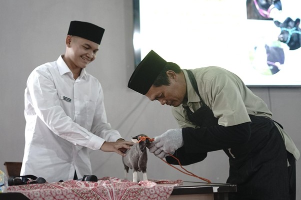 pelatihan menyembelih kurban1 dompet dhuafa