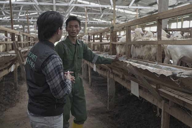 qualitycontroldiddfarmjawatengah dompet dhuafa