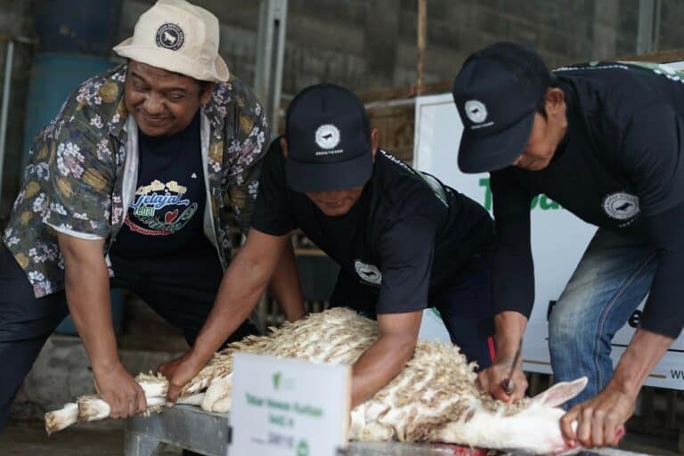 thkdibanyuwangi13768x512 dompet dhuafa