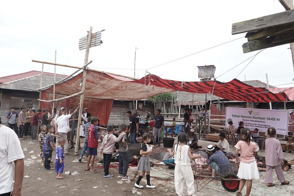 tebar hewan kurban 1446 h2 dompet dhuafa THK Dompet Dhuafa di daerah yang sangat jarang ada domba dan sapi, Desa Jaring Halus, Kec. Secanggang, Kab. Langkat, Sumatra Utara.
