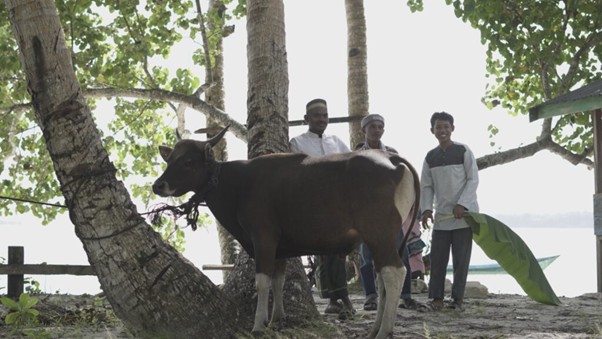tebarhewankurbandipulaukeikecil8 dompet dhuafa