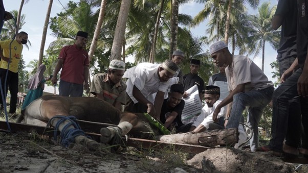 tebarhewankurbandipulaukeikecil9 dompet dhuafa