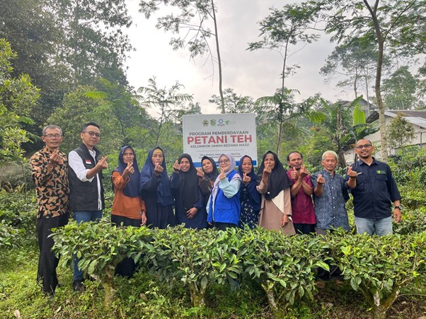 teh bedana produk unggulan banjarnegara7 dompet dhuafa Dompet Dhuafa bersama Amgala Foundation, Dinas Koperasi Provinsi Jateng, dan Pemerintah Kab. Banjarnegara mendukung pemberdayaan teh kelompok UMKM Bedana Maju.