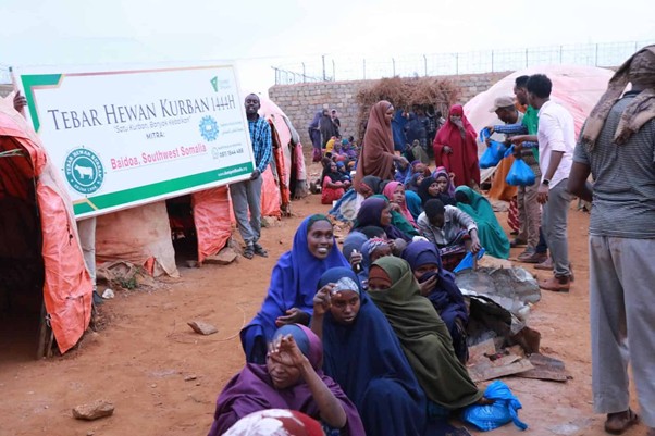 Pelaksanaan Tebar Hewan Kurban (THK) Dompet Dhuafa 1444 H lalu di Somalia.