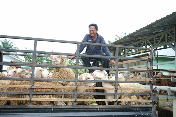 Peternak sedang menjemput doka dari DD Farm Sumut, untuk didistribusikan ke beberapa titik di Deli Serdang pada Kamis (05/05/2025).