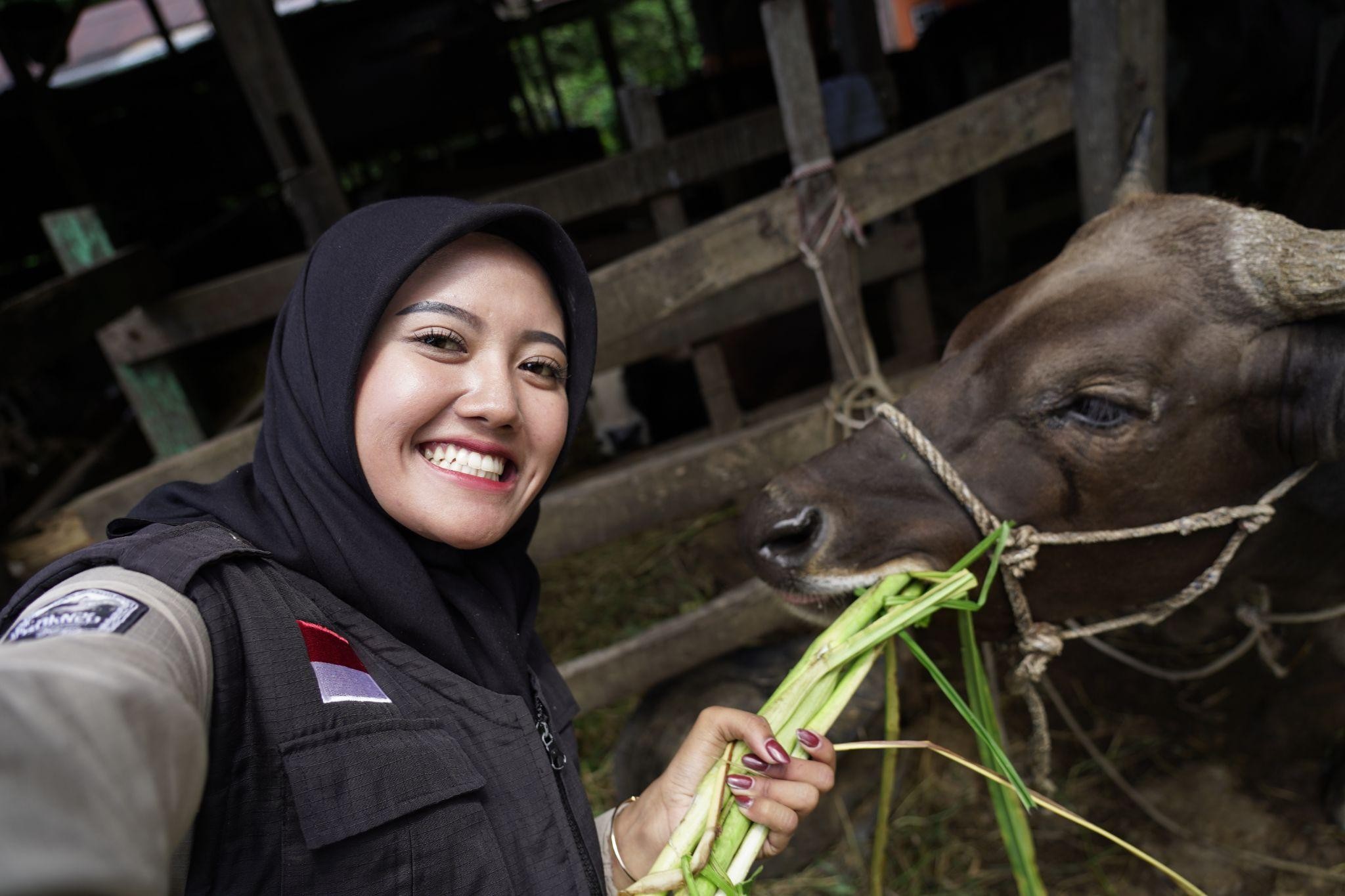 qc hewan kurban di sulawesi selatan1 dompet dhuafa