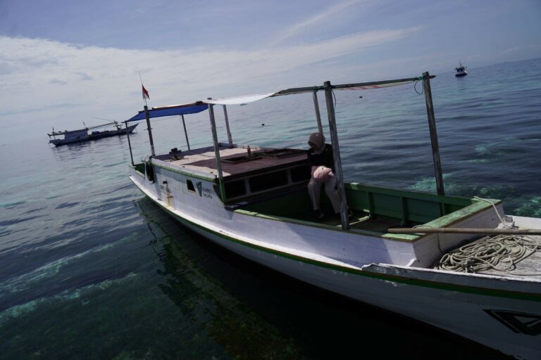 qchewankurbandisulawesiselatan11768x512 dompet dhuafa