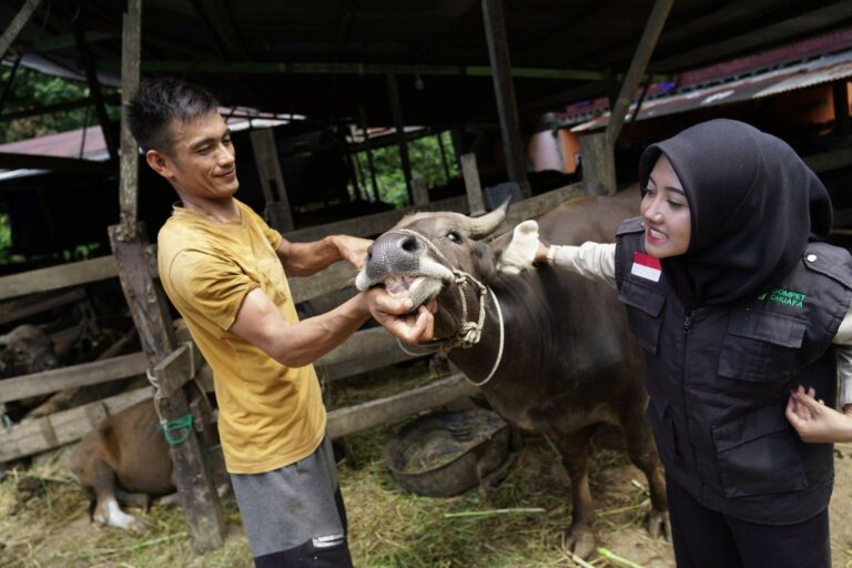 qchewankurbandisulawesiselatan2768x512 dompet dhuafa
