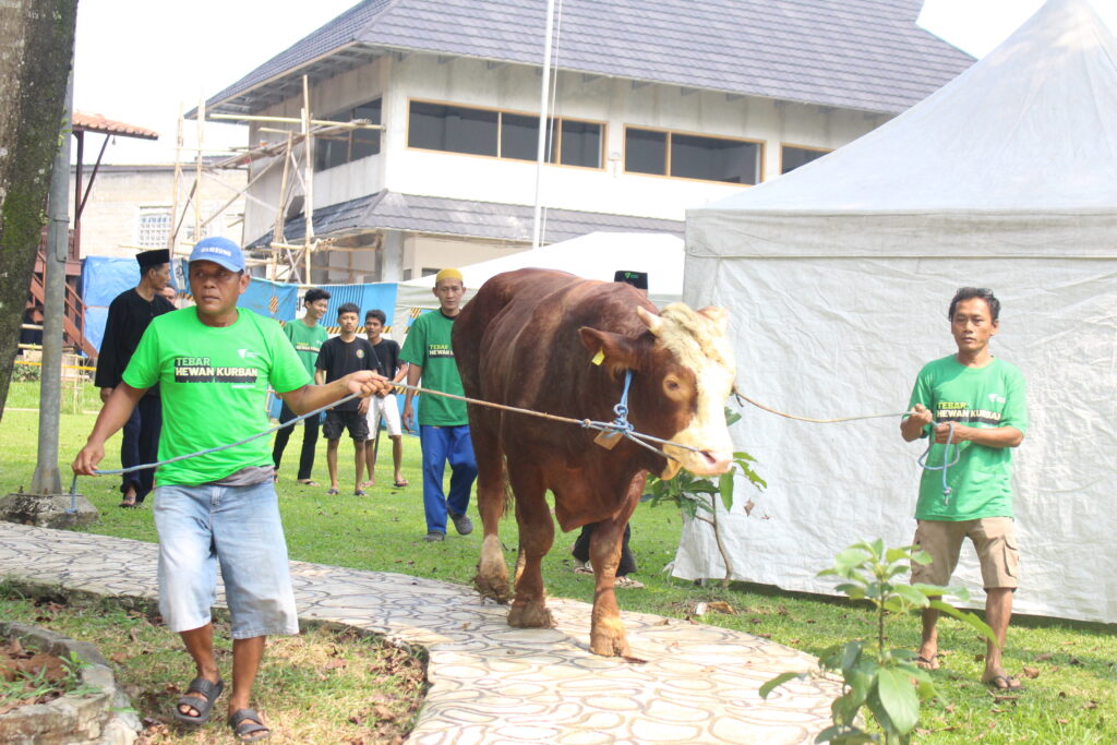 thkhuaweitelkomselzonamadina1 dompet dhuafa