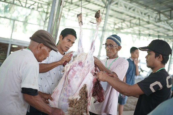 tebar hewan kurban di desa bulu cina deli serdang sumut6 dompet dhuafa Setelah hewan kurban disembelih, para warga membantu membersihkan hewan dengan memisahkan kulit dengan dagingnya.