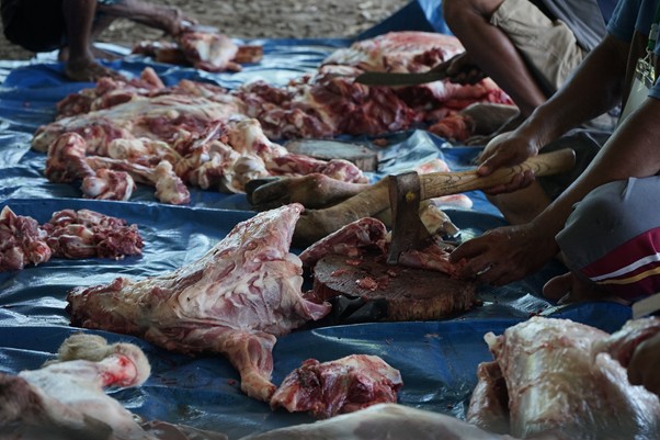 tebar hewan kurban di desa bulu cina deli serdang sumut7 dompet dhuafa Hewan kurban yang telah disembelih merupakan doka dan sapi yang lolos fase Quality Control. Dengan memenuhi syarat: jantan, sehat, memenuhi bobot sesuai kriteria Dompet Dhuafa.