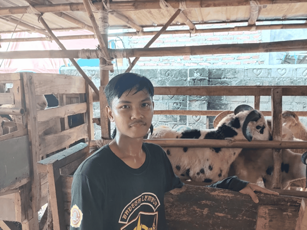 tebarhewankurbanhidupkanekonomipeternak4 dompet dhuafa