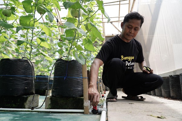 samsulpetanimelonbanjar6 dompet dhuafa