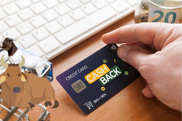 bagaimanahukumkurbancashback dompet dhuafa