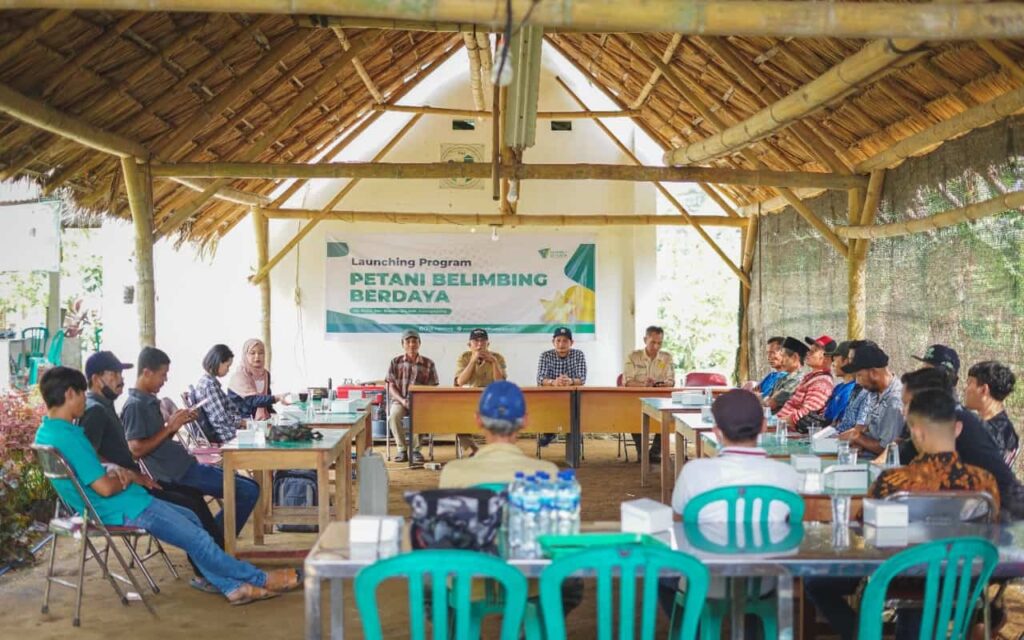 budidayabelimbingtulungagubg3 dompet dhuafa