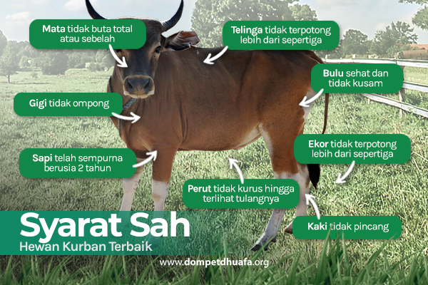 syaratsahhewankurban dompet dhuafa