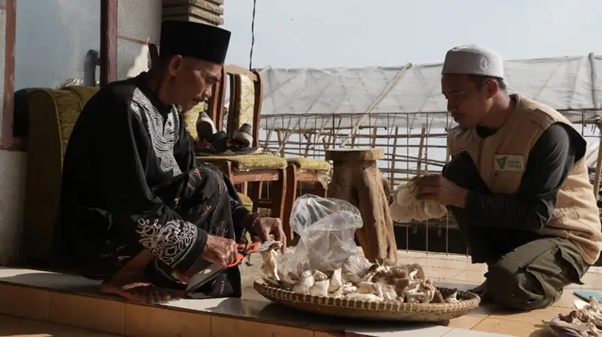dakwah produktif dan budi daya jamur tiram4 dompet dhuafa