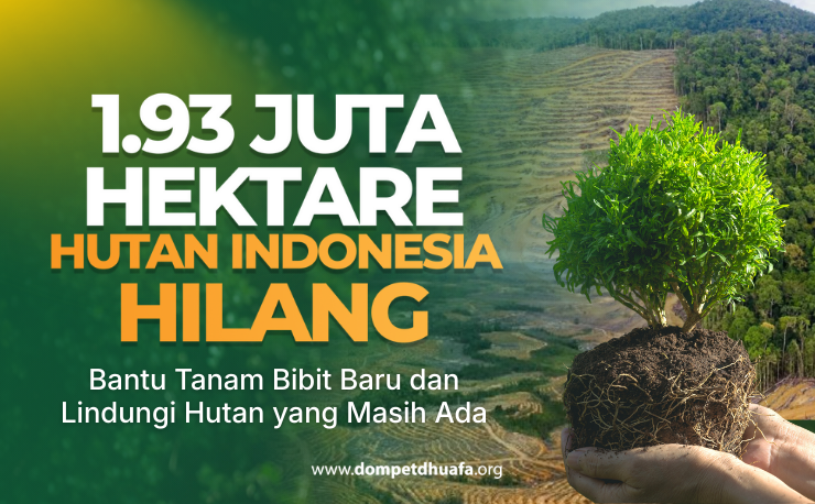 hutan hilang di indonesia dompet dhuafa climate-change