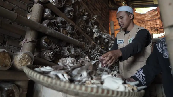 dakwahproduktifdanbudidayajamurtiram1 dompet dhuafa