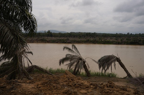 bantuankemanusiaanmowilex2 dompet dhuafa