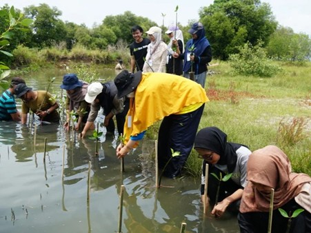 ibu untuk bumi lingkungan 4 dompet dhuafa Diverse volunteers wading in a shallow pond, planting young mangrove saplings along the shore.