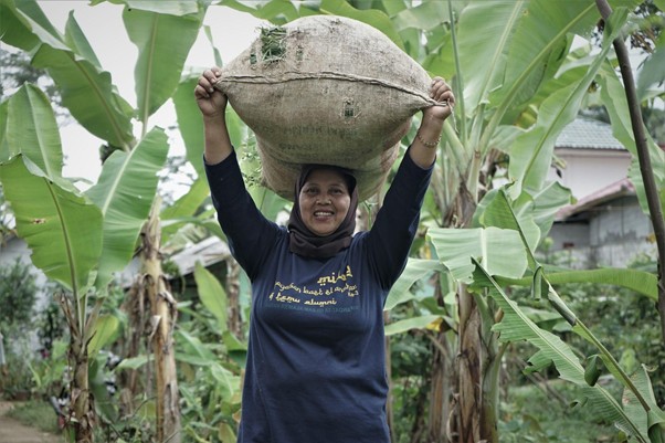 Woman wearing a headscarf balances a large sack on her head in a banana plantation.