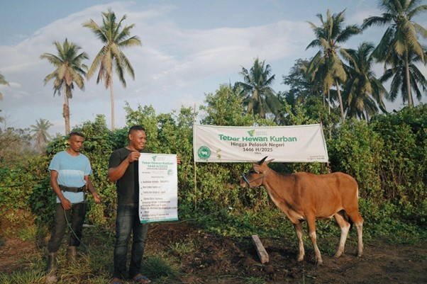 Two men stand beside a brown cow in a tropical roadside setting with tall palm trees; a banner behind them reads Tebar Hewan Kurban, indicating a livestock donation event.