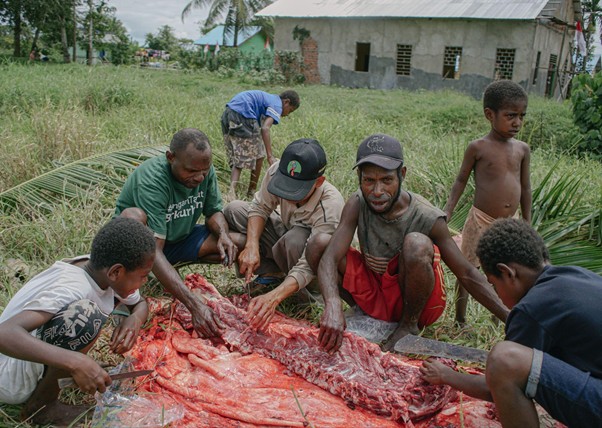 adhapengorbanan13 dompet dhuafa Group of men and boys butcher a large animal carcass on a red cloth in a rural yard.