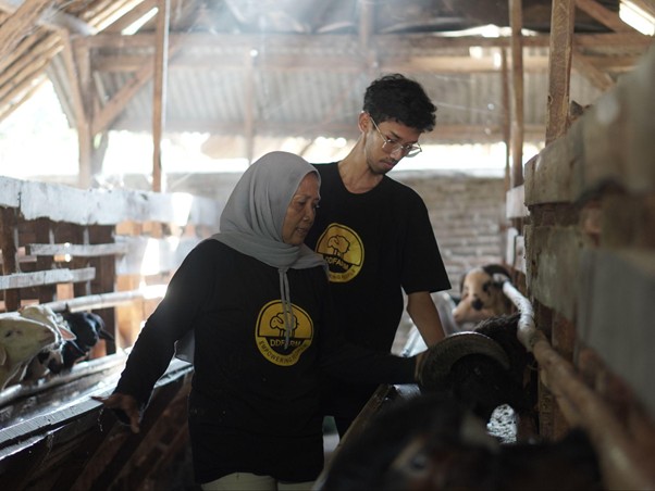 bangunasadarikandangkambing4 dompet dhuafa Two workers in a barn with cattle pens, wearing matching black shirts with a yellow logo, supervising milking equipment.