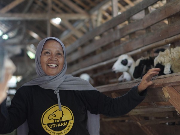 bangunasadarikandangkambing6 dompet dhuafa Smiling woman in a gray hijab and black shirt with a DD FARM logo in a barn with sheep on the racks beside her.