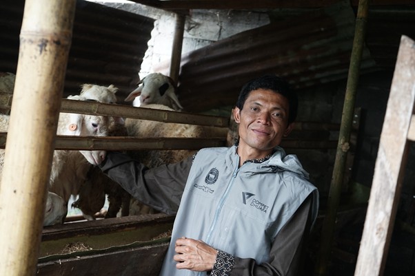jantarajateng3 dompet dhuafa A man in a light gray jacket stands in a wooden sheep pen, gently touching a sheep looking toward the camera.