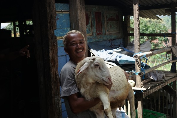 jantarakabul3 dompet dhuafa Smiling man holds a white sheep in a rustic wooden shelter.