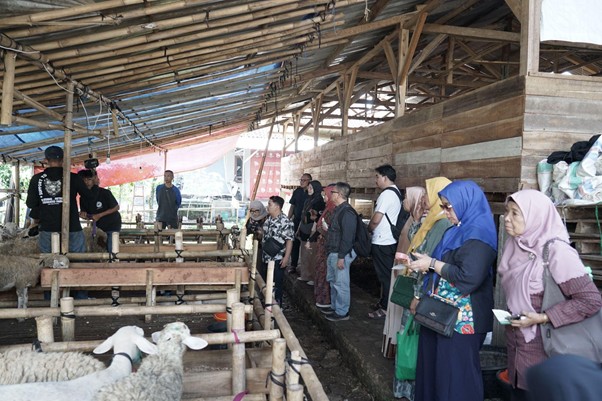 jelajahkandanguntukkurban20263 dompet dhuafa Group of visitors inside a wooden sheep barn watching and listening to a guide near fenced pens.