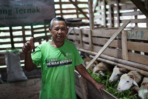 Man in a green T-shirt giving a thumbs up inside a sheep pen at a farm.