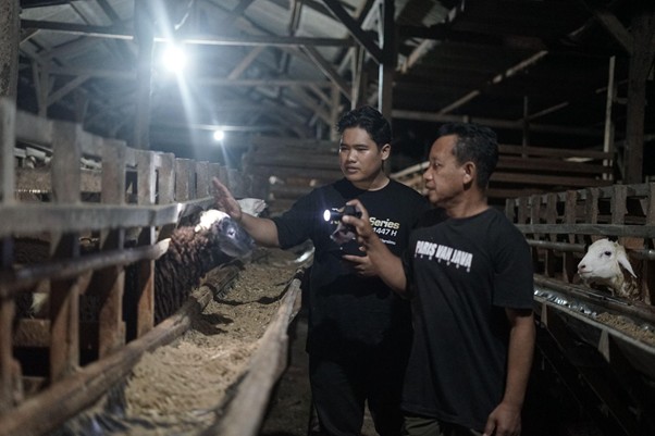 kurban lampung 6 dompet dhuafa Two men in a dim poultry barn inspecting chickens with flashlights along feeding troughs.