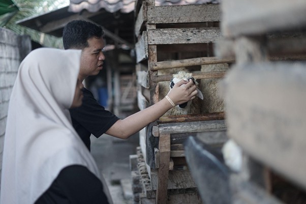 Two people, a man and a woman in a headscarf, reach toward a chick peeking out of a rustic wooden chicken coop.