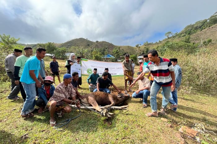 Group of people gathered around a tethered cow lying on the grass at a rural outdoor event, with hills and a banner in the background.