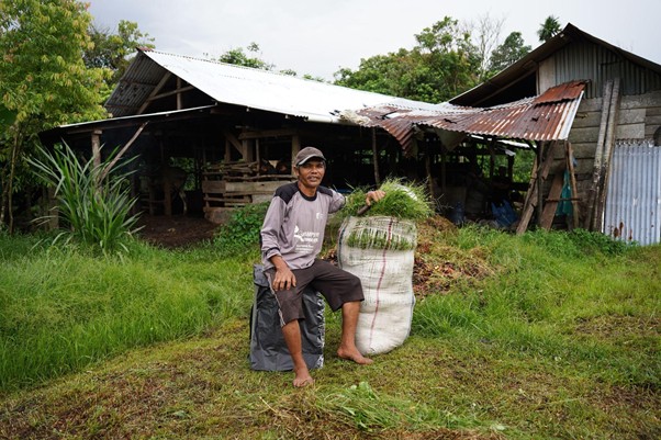 peternakampuahlampo2 dompet dhuafa Man sits on a stool beside a large sack of harvested grass on a rural farmyard with a weathered shed behind him.