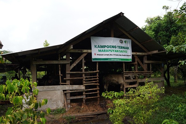 peternakampuahlampo5 dompet dhuafa Open-air wooden cattle barn with a banner reading 'Kampoeng Ternak Marapu yan Saiyo' and a cow inside.