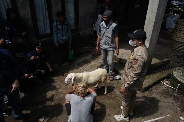 qc kurban jateng 1 dompet dhuafa Man kneels to pet a white sheep as a uniformed officer and onlookers watch in a narrow street.