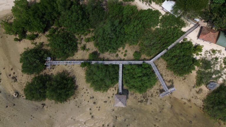 Aerial view of a wooden Y-shaped pier splitting into two arms across a sandy beach, bordered by trees.