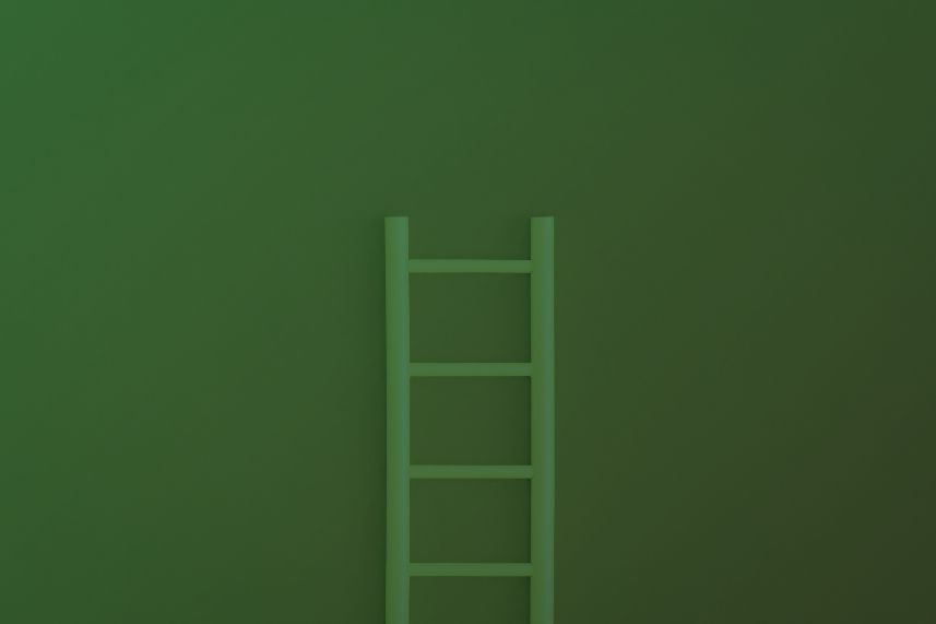 kelas menengah dompet dhuafa Green ladder standing upright against a solid green wall, centered in the frame.