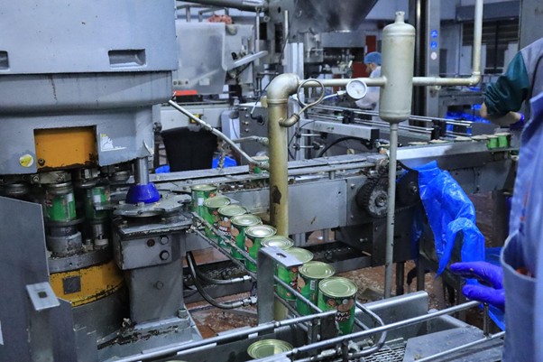 kurbandipalestina6 dompet dhuafa Automated can-filling line with rows of metal cans on a conveyor, surrounded by industrial machinery.