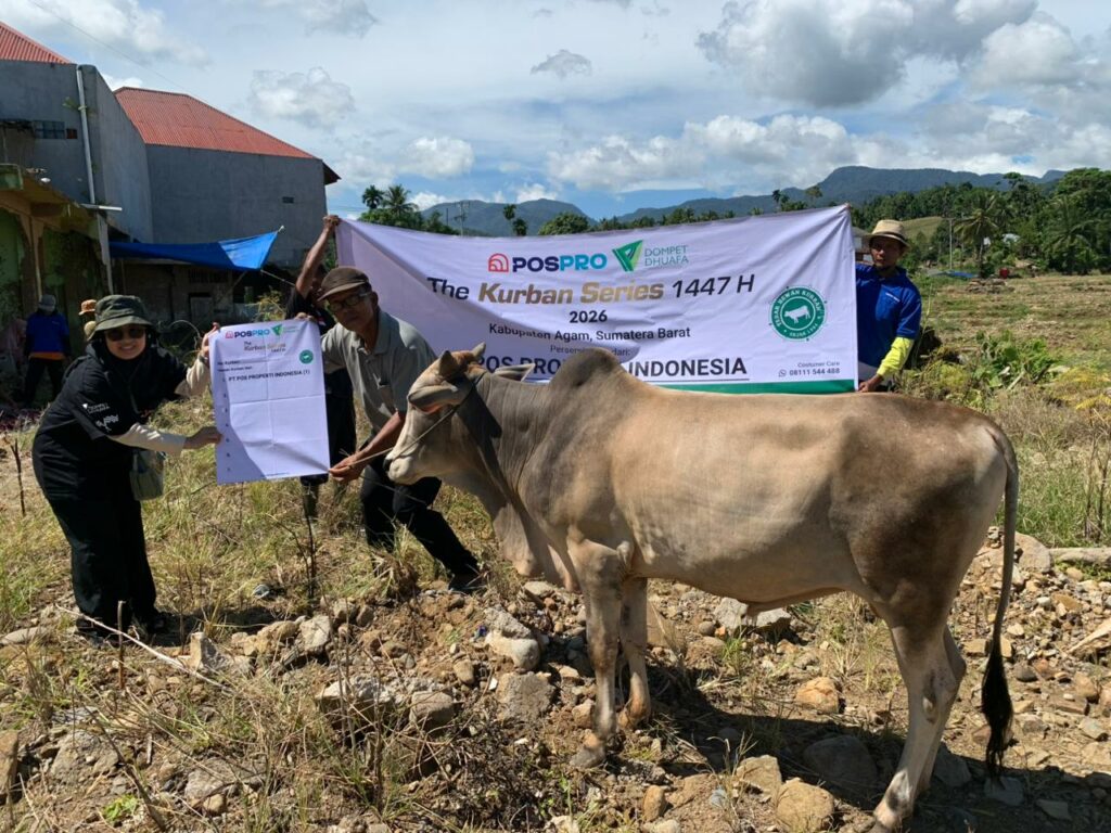 img20260604wa0005jpg dompet dhuafa Group of people posing with a banner for 'The Kurban Series 1447H 2026' beside a tan cow in a rural field, Indonesia (Sumatera Barat).