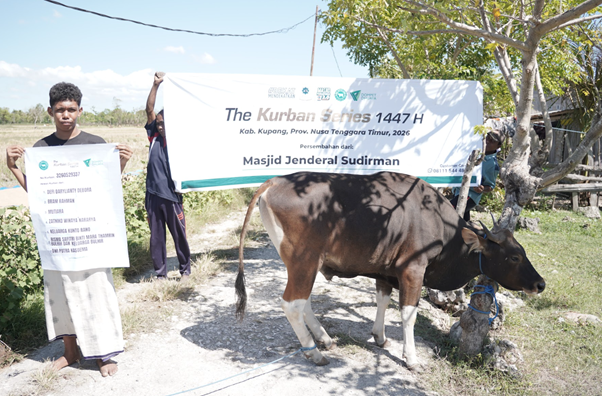 People hold a banner reading 'The Kurban Series 1447 H' beside a cow in a rural setting, with 'Masjid Jenderal Sudirman' written on the banner.