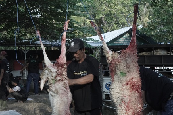 Man in a black shirt and cap butchering two large hanging animal carcasses outdoors at an event.